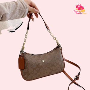 Coach Inspired Sling Bag (Brown-C)